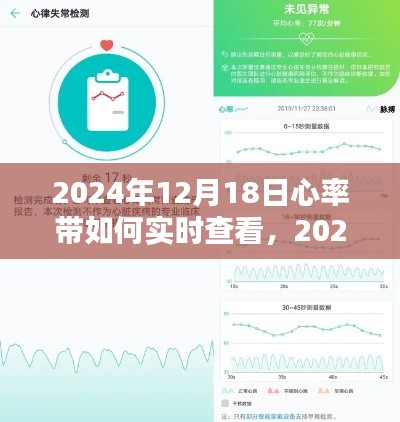 心率带实时查看技术指南，掌握心率监测新技能