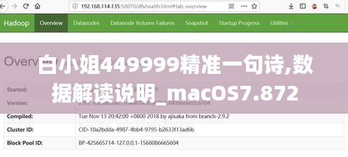 白小姐449999精准一句诗,数据解读说明_macOS7.872