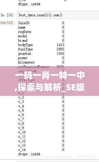 一码一肖一特一中,探索与解析_SE版3.150