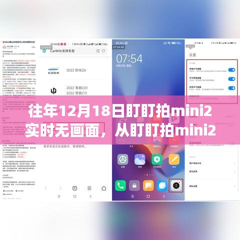 束手就缚 第2页