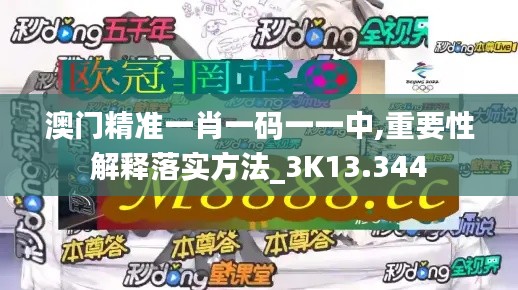 澳门精准一肖一码一一中,重要性解释落实方法_3K13.344