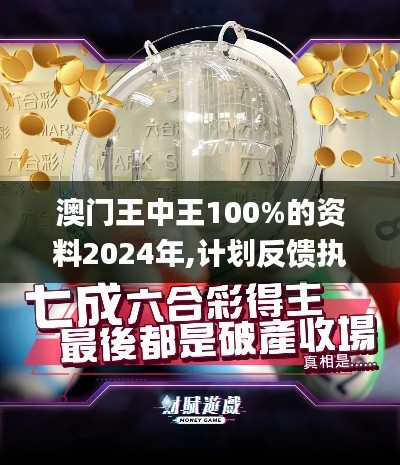 澳门王中王100%的资料2024年,计划反馈执行_PalmOS2.359