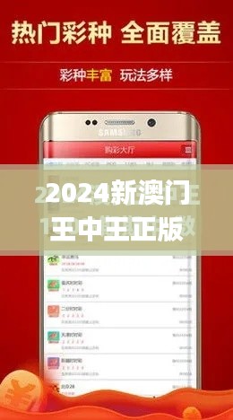 2024新澳门王中王正版,专业解析说明_静态版10.547