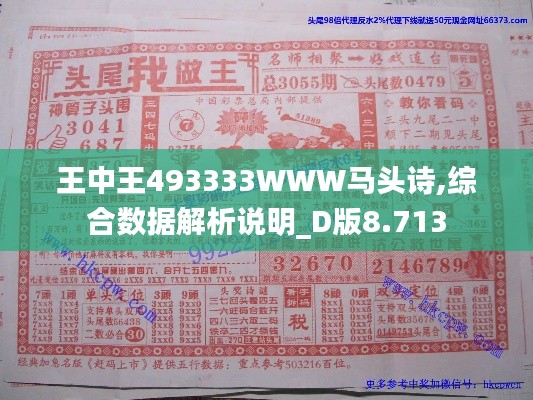 王中王493333WWW马头诗,综合数据解析说明_D版8.713