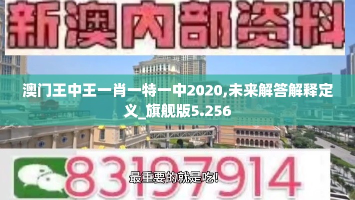 澳门王中王一肖一特一中2020,未来解答解释定义_旗舰版5.256