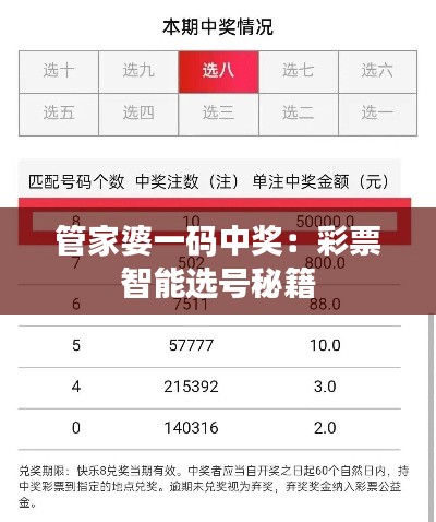 管家婆一码中奖：彩票智能选号秘籍