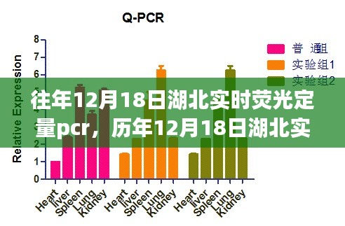 历年与实时荧光定量PCR技术，湖北深度解析与实时追踪报告