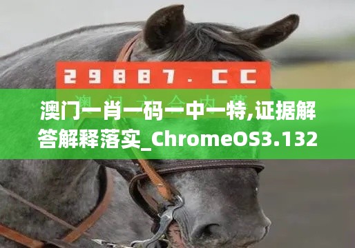 澳门一肖一码一中一特,证据解答解释落实_ChromeOS3.132