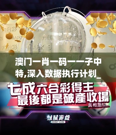 澳门一肖一码一一子中特,深入数据执行计划_标准版2.530