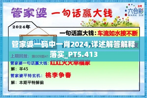 管家婆一码中一肖2024,详述解答解释落实_PT5.413