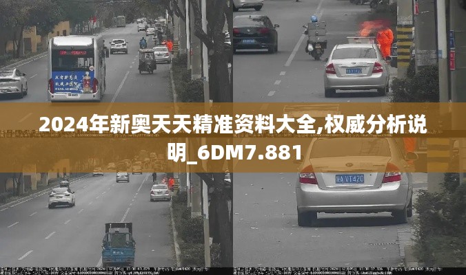 2024年新奥天天精准资料大全,权威分析说明_6DM7.881