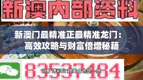 新澳门最精准正最精准龙门： 高效攻略与财富倍增秘籍