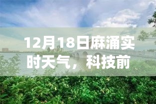 麻涌智能天气APP全新体验，实时天气与前沿科技融合