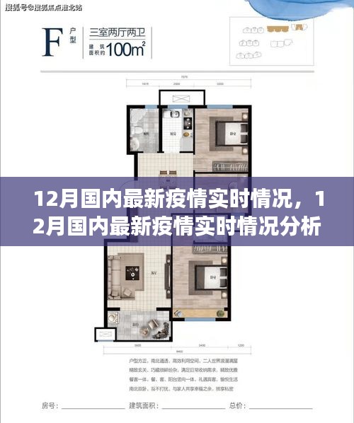 12月国内最新疫情实时情况分析与观察思考，多方观点交织