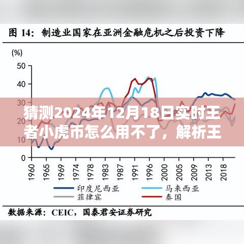 2024年12月18日王者小虎币使用障碍及潜在原因解析