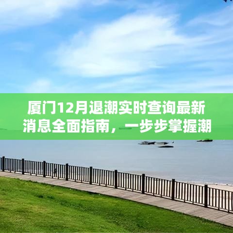 厦门12月退潮最新动态全面指南，潮汐实时查询与掌握攻略