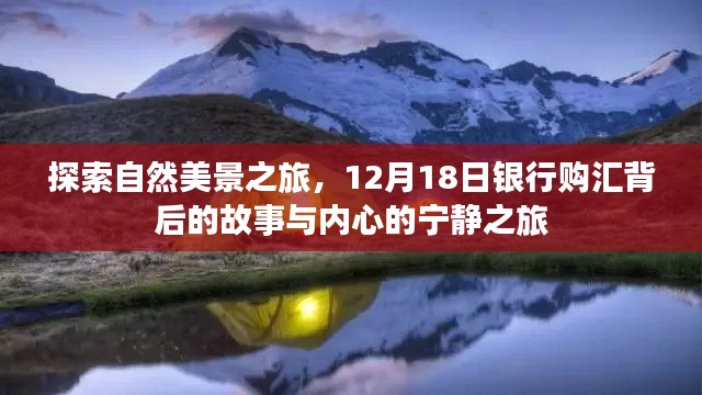 银行购汇背后的故事，自然美景之旅与内心的宁静探索