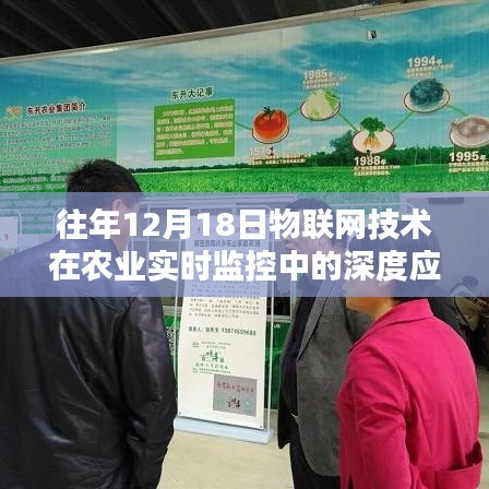 物联网技术在农业实时监控的深度应用，历年12月18日回顾与展望