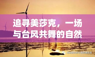 追寻美莎克，台风中的自然探索之旅