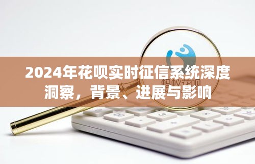 2024年花呗实时征信系统深度洞察，背景、进展及其影响全解析