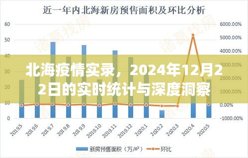 北海疫情实录，实时统计与深度洞察（2024年12月22日）