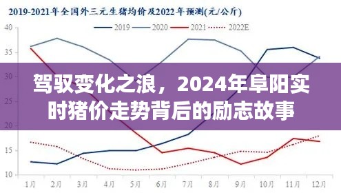 驾驭变化之浪，阜阳实时猪价走势背后的励志故事展望2024年。