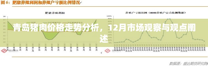 青岛猪肉价格走势分析，12月市场观察与趋势预测