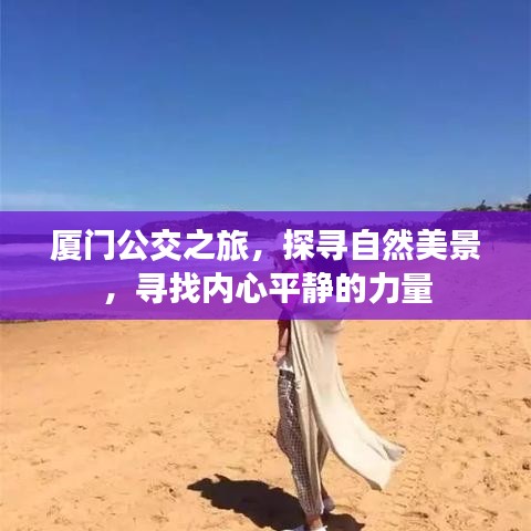 厦门公交之旅，探寻自然美景，寻觅内心宁静的力量