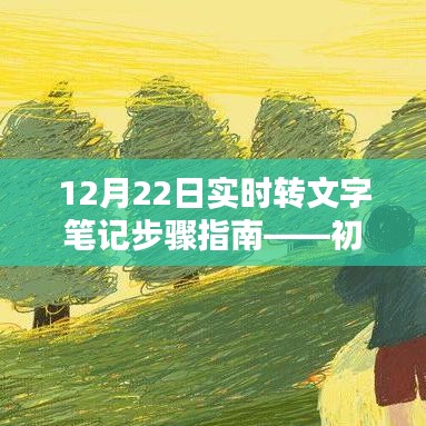 12月22日实时转文字笔记步骤详解，初学者与进阶用户的必备指南