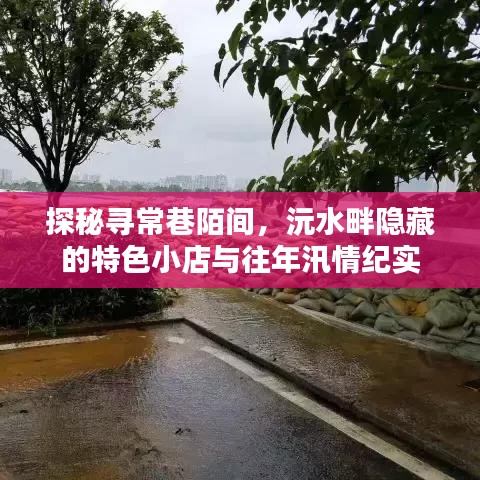 探秘寻常巷陌与沅水畔的特色小店，汛情纪实之旅