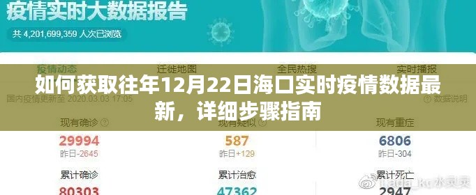 海口往年12月22日实时疫情数据获取指南