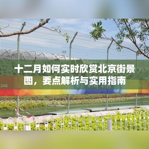 十二月北京街景实时欣赏攻略，要点解析与实用指南