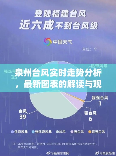 泉州台风实时走势分析与图表解读，最新观点碰撞报告