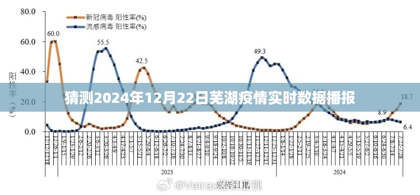 芜湖疫情最新实时数据播报（预测至2024年）