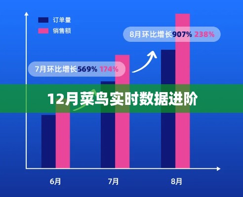 菜鸟实时数据进阶解析