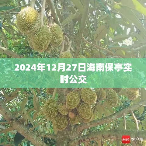 海南保亭实时公交查询系统，最新公交时间表（2024年）