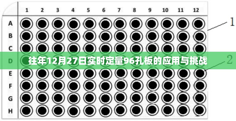 年终定量挑战，96孔板应用与反思