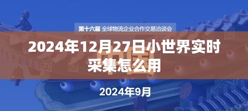 2024年小世界实时采集功能使用指南