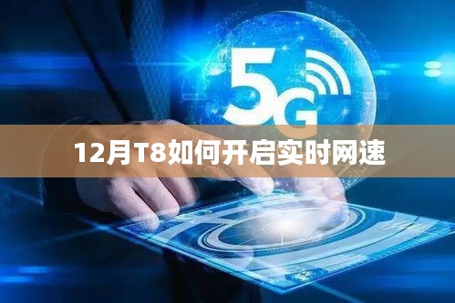 12月T8实时网速开启指南