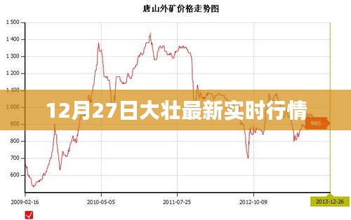 大壮实时行情更新，最新动态速递