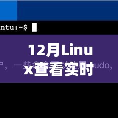 Linux实时查看登录用户命令详解