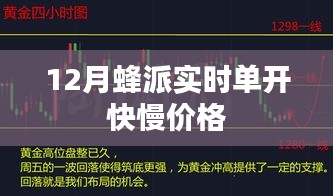 蜂派实时单开快慢价格，12月最新价格查询