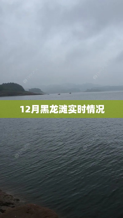 黑龙滩水库实时状况揭秘，12月最新动态