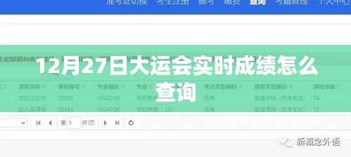 大运会实时成绩查询指南，12月27日快速查分攻略