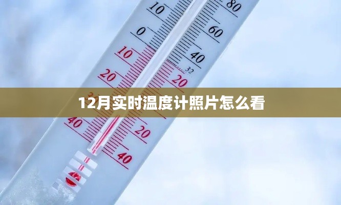 如何解读12月实时温度计照片