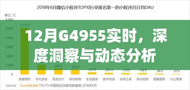 深度洞察与动态分析，揭秘G4955实时数据