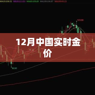 中国黄金价格实时走势（十二月版）