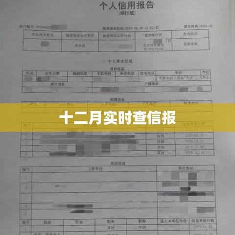 十二月最新查信报速递