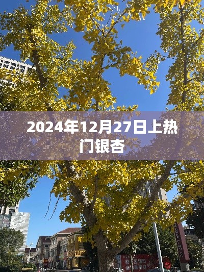 2025年1月 第429页