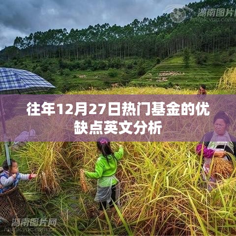 热门基金历年表现分析，优缺点深度解读